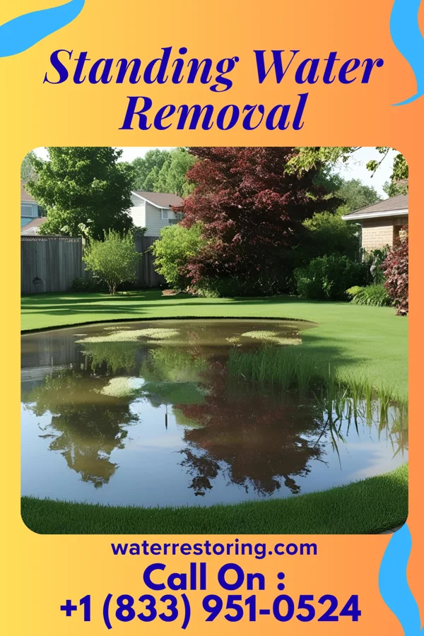 Standing Water Removal in St. Marys, IA